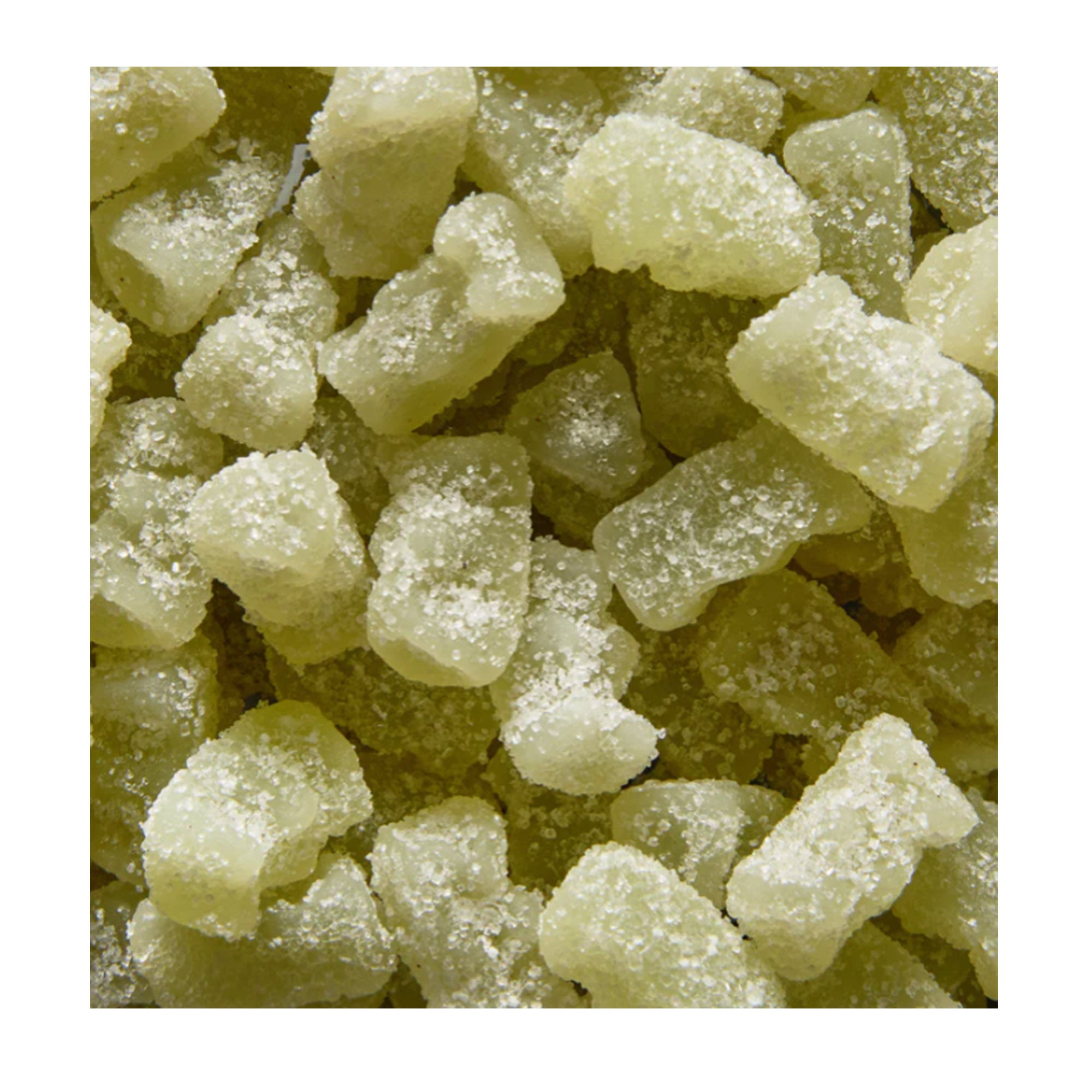 Leone Fizzy Gummi Bears Mojito