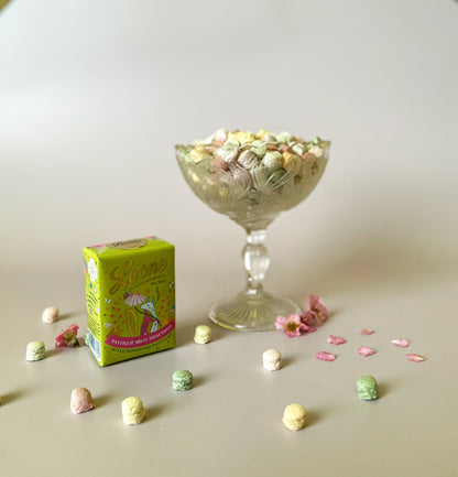 Leone piccole storie di felicita con scoiattolo e miste dissetanti