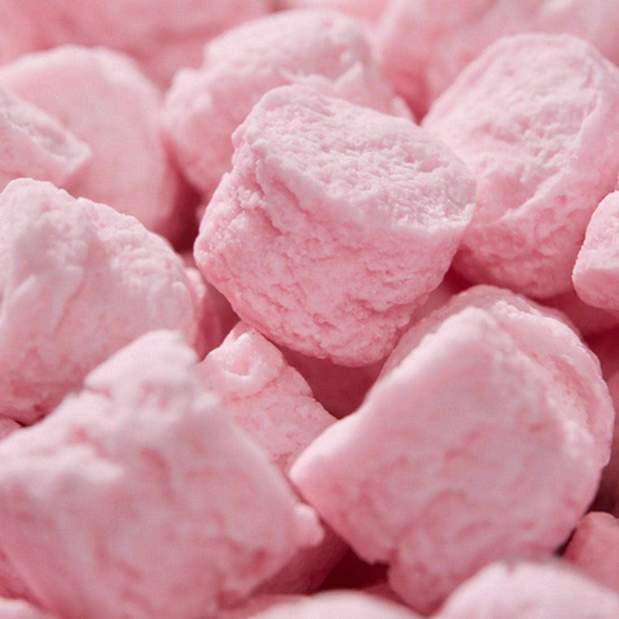 Pastiglie Leone und die Genusssorte Erdbeere