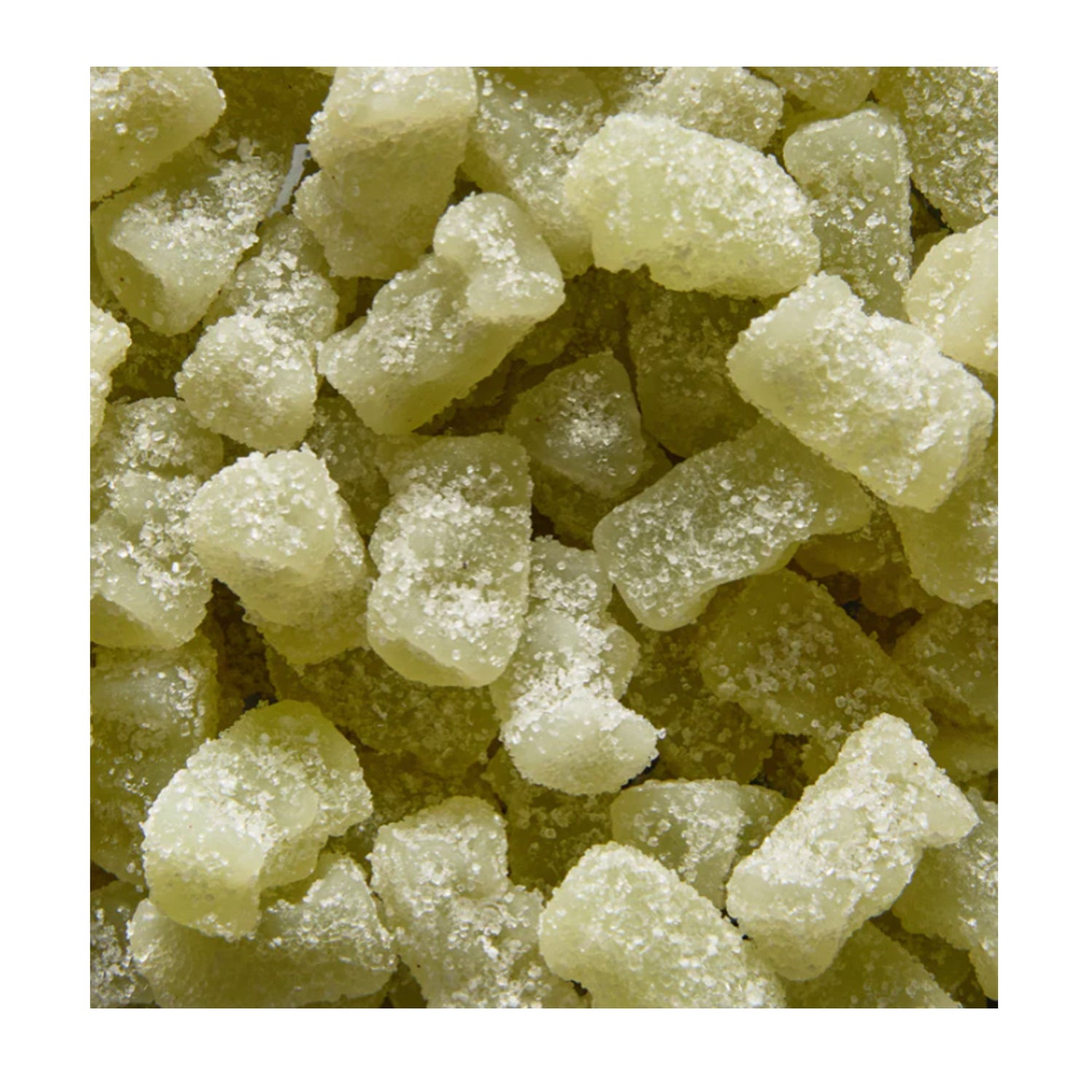 Leone Fizzy Gummi Bears Mojito